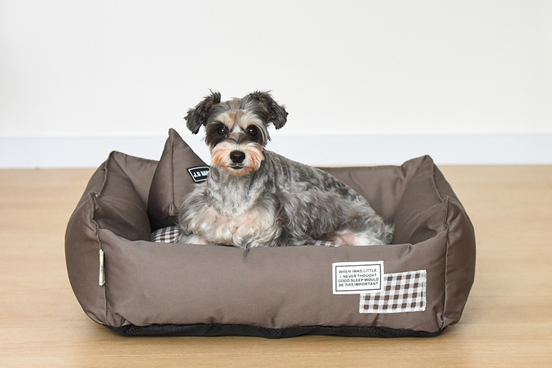 Awesome Product Image