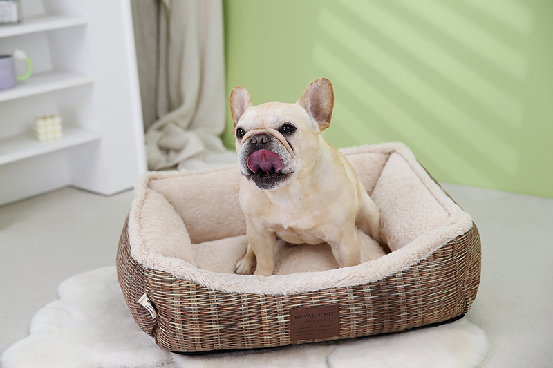 Awesome Product Image